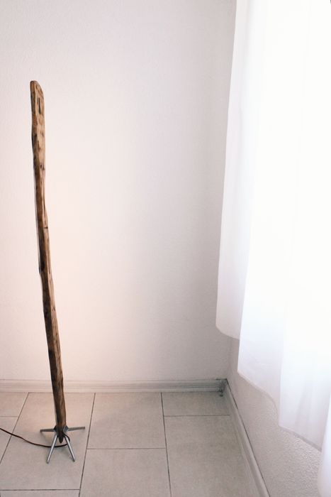 Лед Лампион / Горски лампион