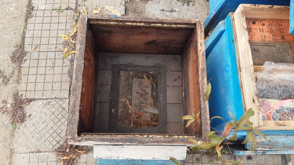 Пчелни кошери дадан-блат