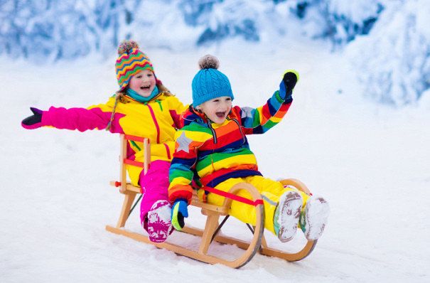 Санки Chana Санки