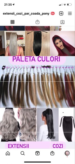 Coada de par diverse culori