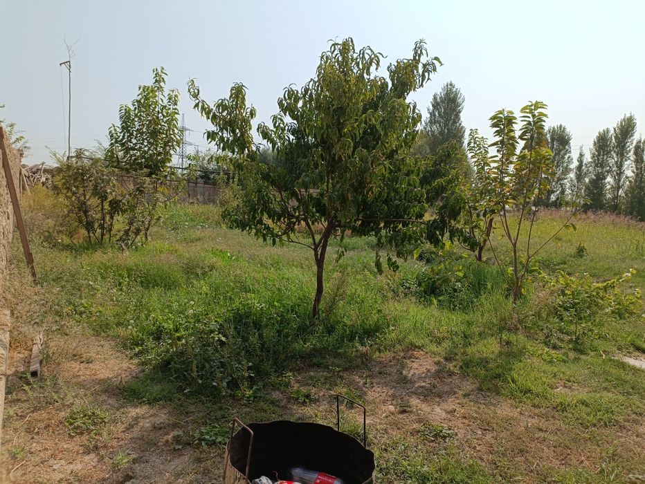 Кибрай тумани, Фаровон махалла, ТашГРЭС жилой ер, участка