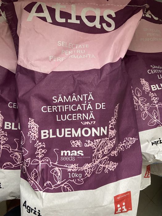 Samanta Lucerna Atlas 290  leiCalitate Superioara