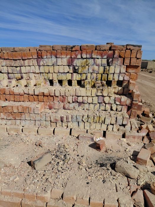 Жұптары бар әдемі траннилер