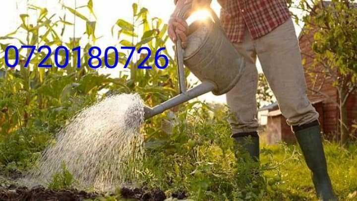 Executam foraje puturi apa