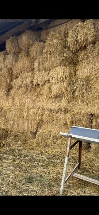 Sholi pres sotiladi 16  000 soʻmdan bozordan arzon narxda 1 metrdan