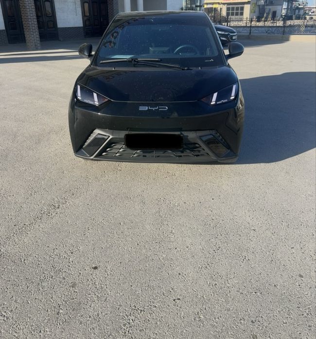BYD Seagull 2023
