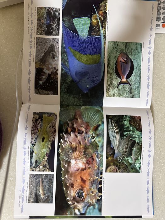 Атлас морской