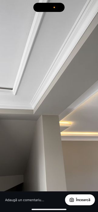 Faianțar  zugrav,  particular