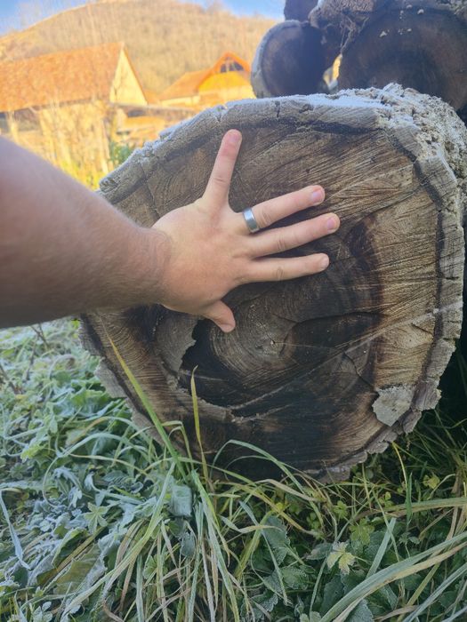 Vand lemn de NUC pret  NEGOCIABIL