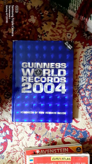 Книга Гинес 2004