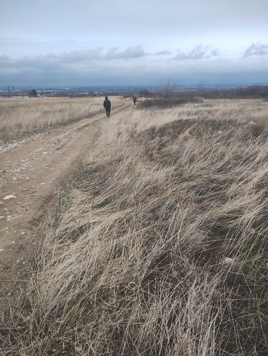 Продава се Земеделски имот в Пловдив, Индустриална зона - Тракия -  кв.м за 15 €/дка - Снимка #6