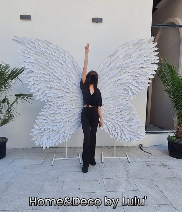 Aripi Inger Gigant pe comanda_PhotoCorner