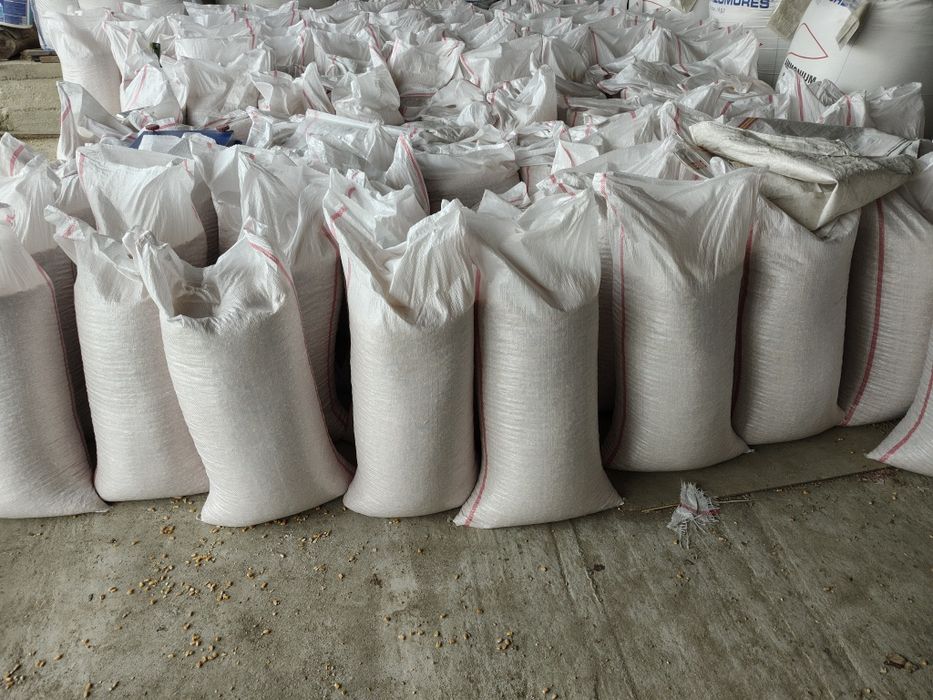 Porumb boabe de vanzare