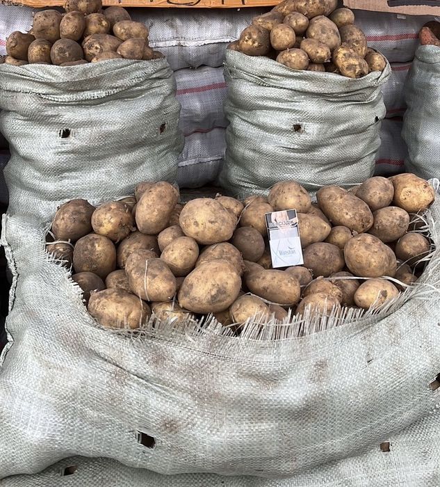 Картошка картофель