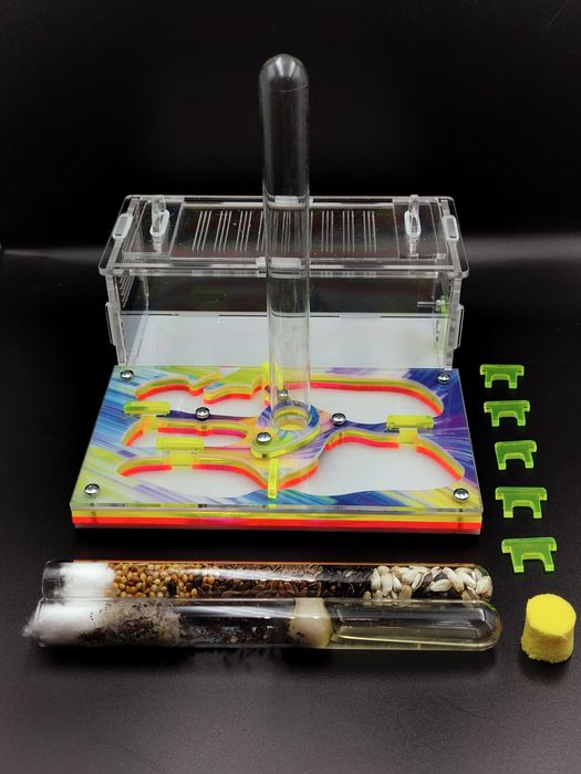 Муравьиная ферма 15 на 15 см. С автоувлажнерием. АЛМАТЫ