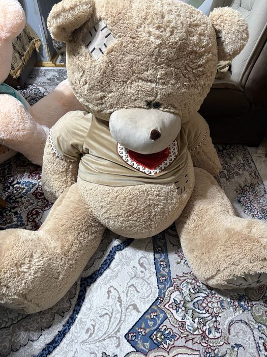 Teddy ayiq sotiladi yangi holati