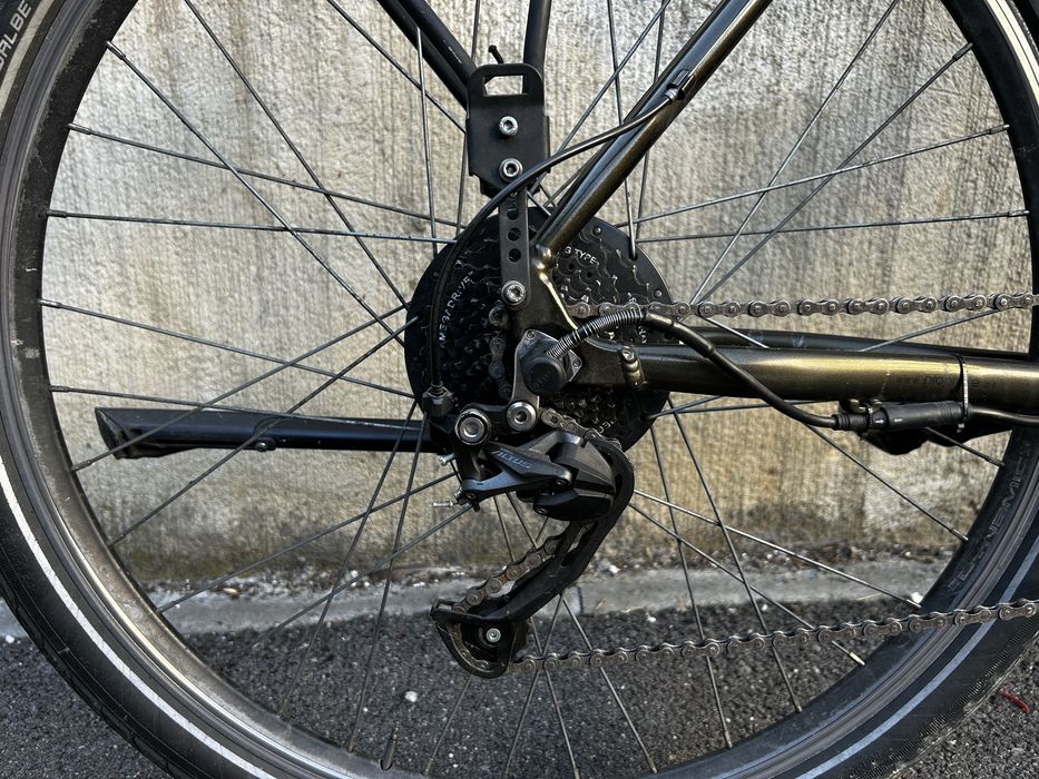 Bicicleta electrica Prophete de oras Blaupunkt