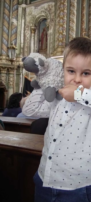 Caut aceste jucării de plus