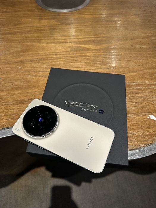 vivo x300 pro ch