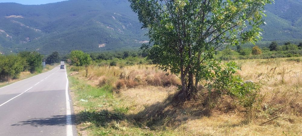 Нива на втора линия подбалканския път
нива 1 дек и