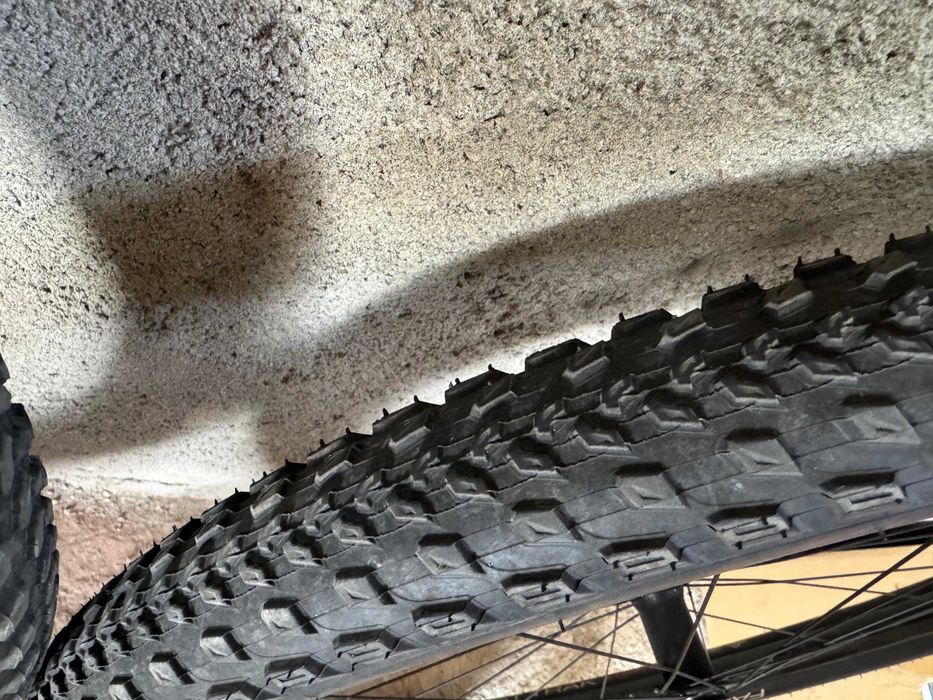Roti Mtb 29 Boost