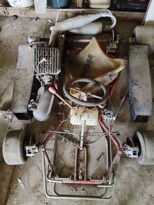 Karturi de competiție TonyKart / Kamicaze
