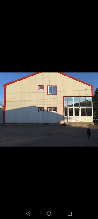 Hale vanzare de la 100 mp, la 250mp, zona Dedeman Auchan