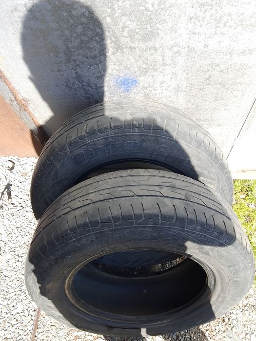 Продам шиный кордиант