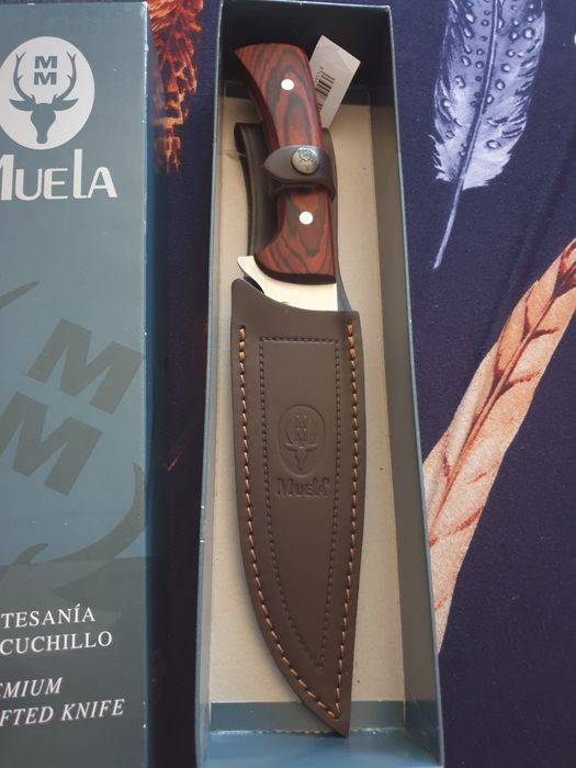 Vintange cutit Muela jabali tejon