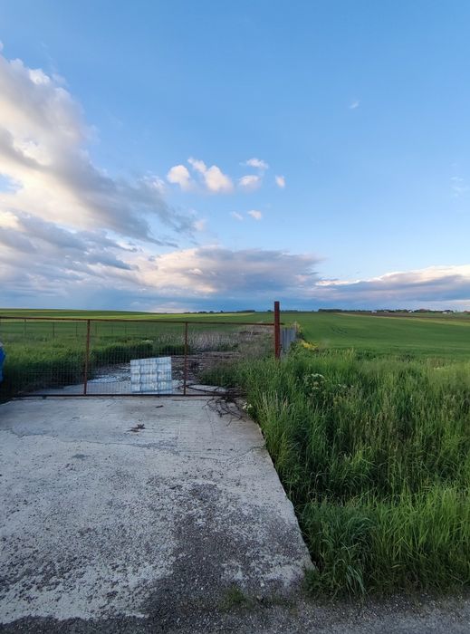 Teren Răchiți poligon