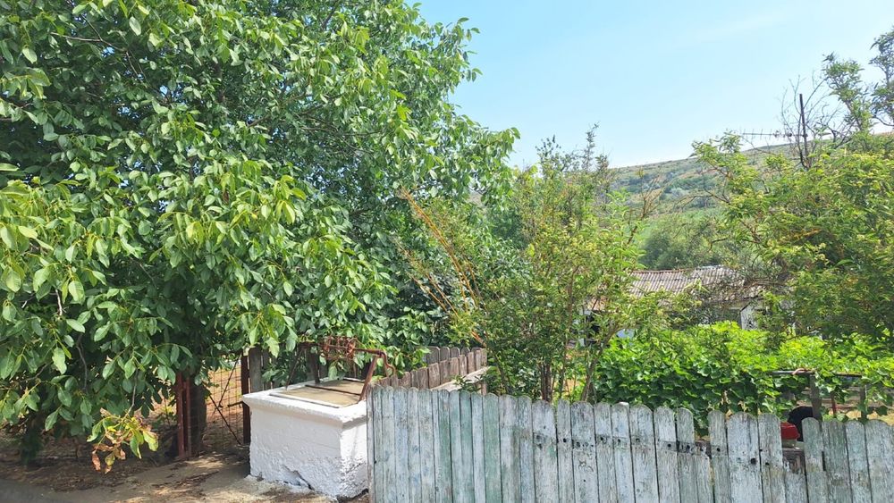 Hoceni - Teren Intravilan 4200 mp si casa bătraneasca