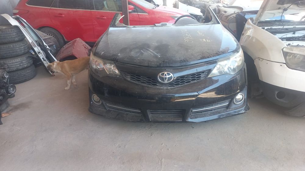 Кузовный детали Рено Дастер из Европы