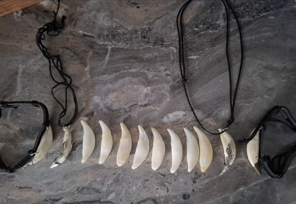 Продам декоративные клыки