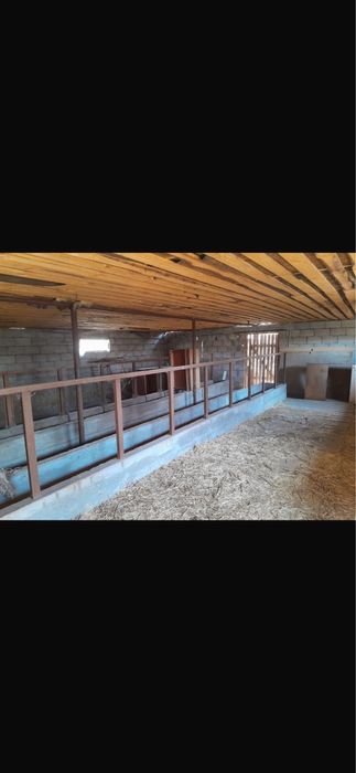 Продам откормочную базу