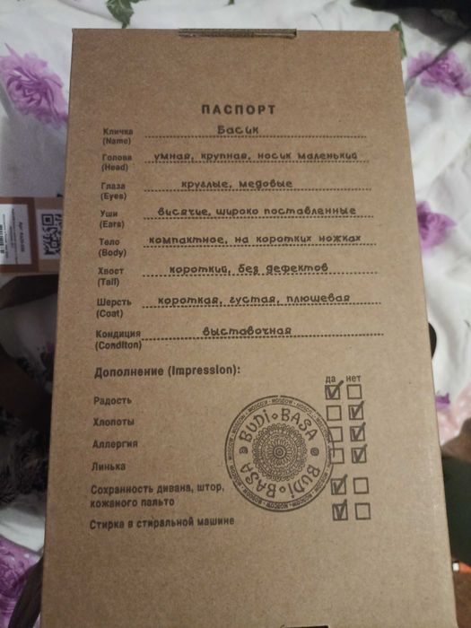 Басик в жёлтой жилетке