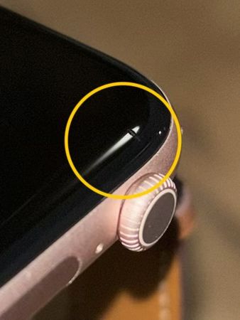 Apple Watch Series 10 46mm Rose Gold