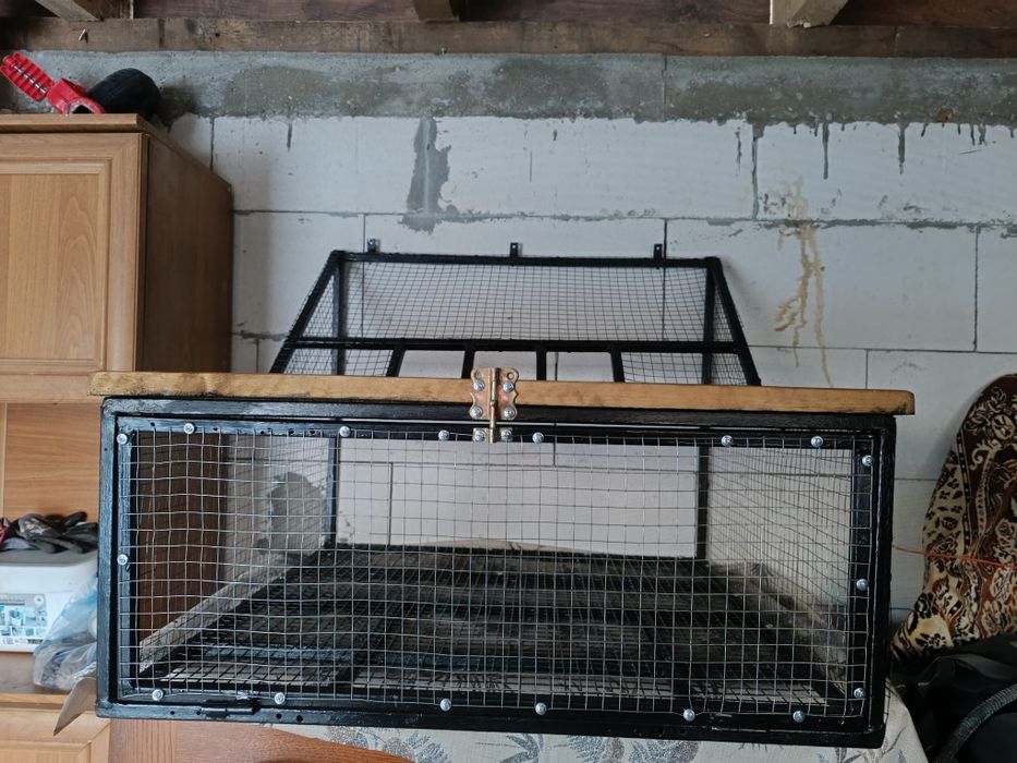 Intrare porumbei sputnic