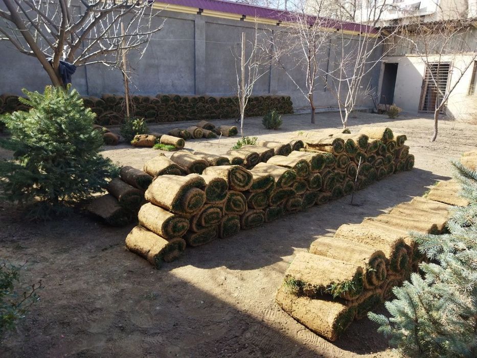 Pali fGazon xizmatlari