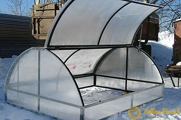 Лексаны прямо со скалада