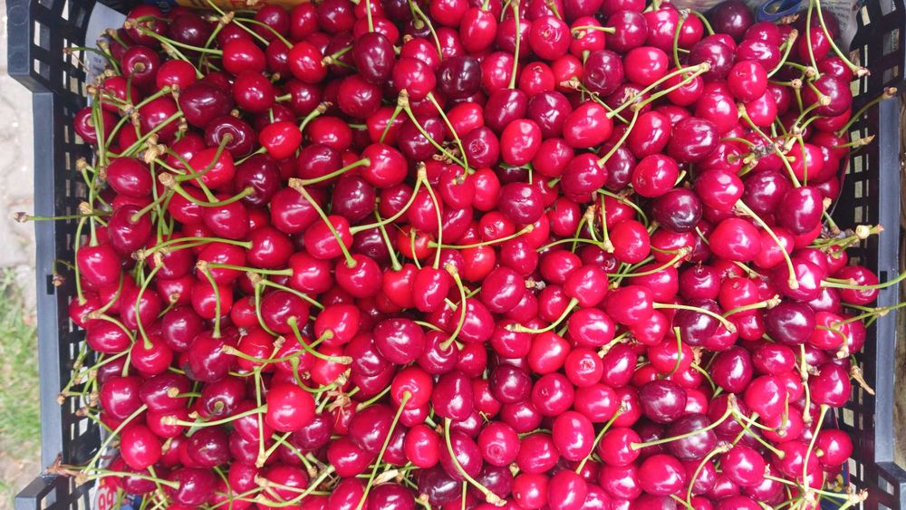 Cireșe, Cireșe, Cireșe 20RON / kg