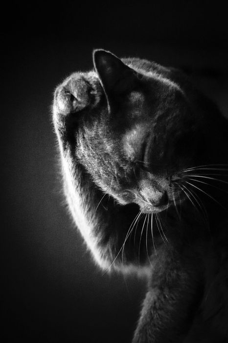 Nikon AF 24-120mm f/3.5-5.6D Nikkor обектив Никон