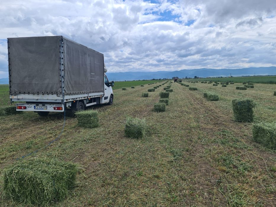 Vând baloti  Lucernă fân de munte trasport la domiciliu producție 2024