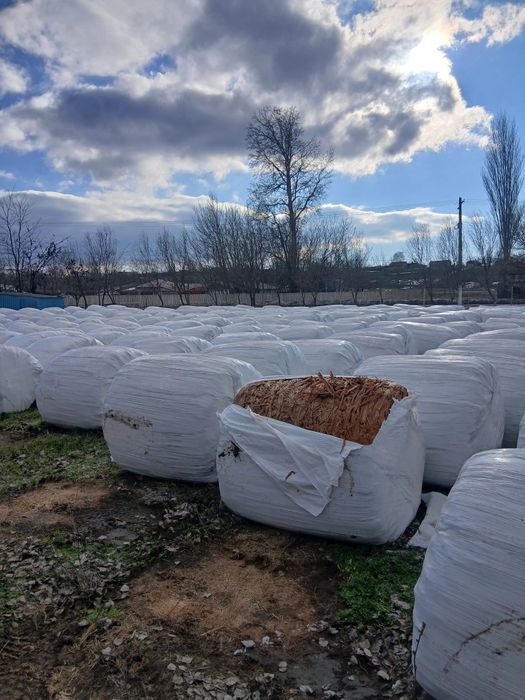 Vând baloti infoliati