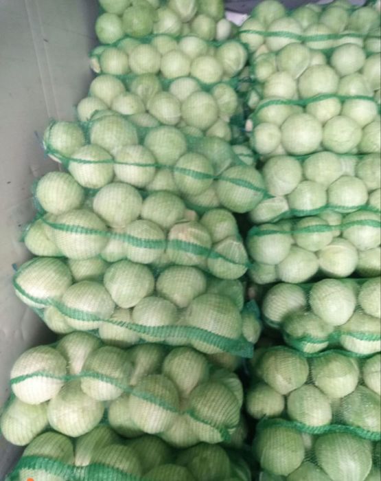 Картофель в Павлодаре