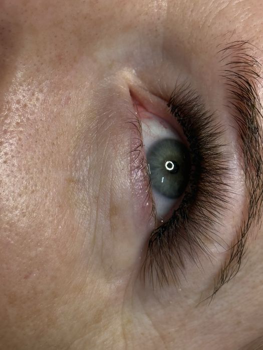 Gene false drumul taberei