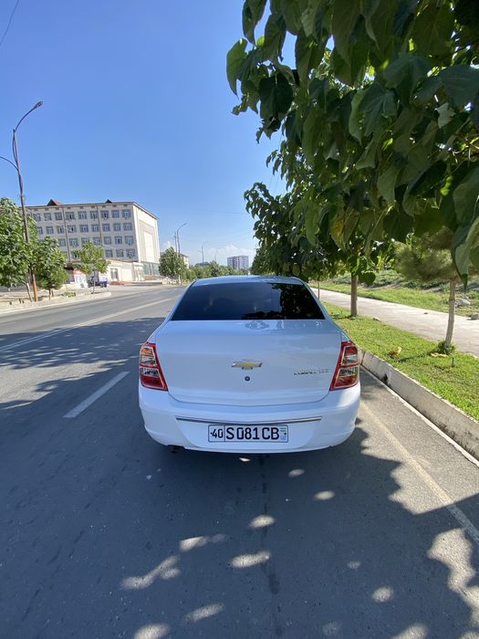 Minishga tayor kobalt xamma rasxodi qilongan