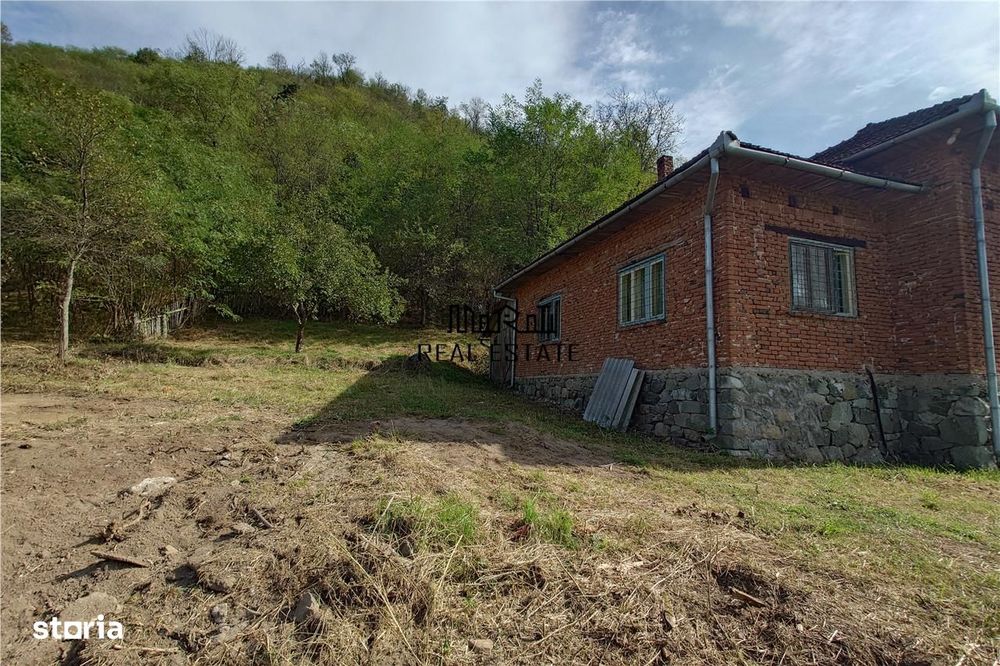 Teren, padure si casa in Dumbrava de Jos, jud. Hunedoara