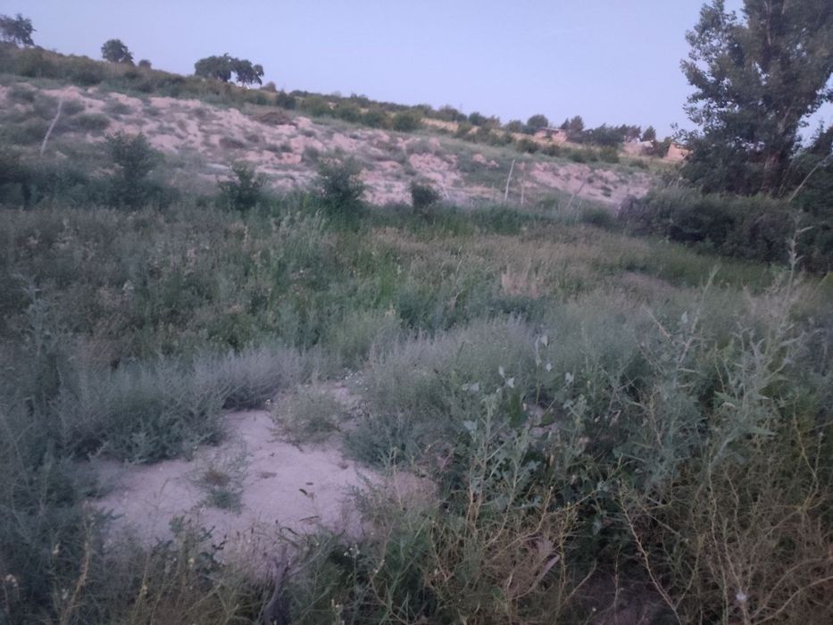 Продаётся участок "Срочно" город Навои Навоинская область 6 соток дача