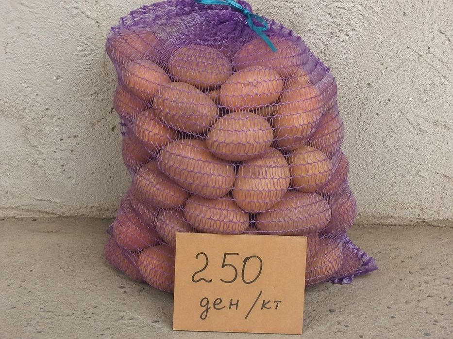 Картошка домашний