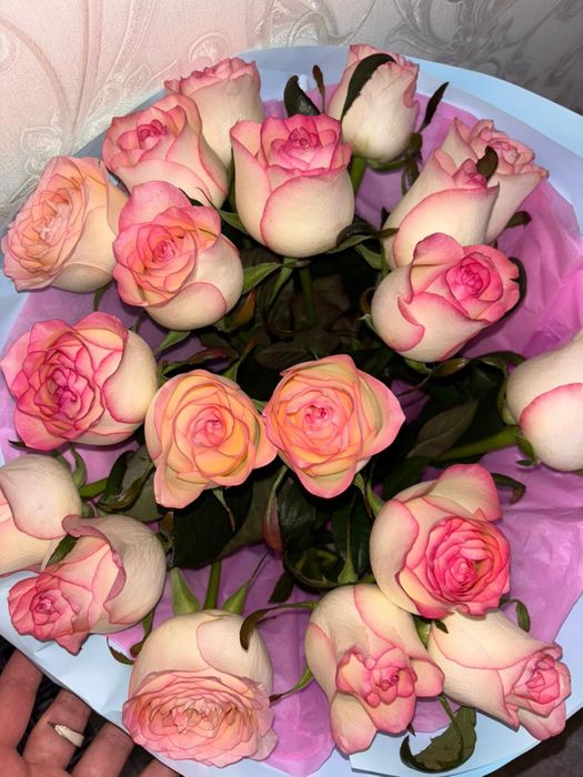 Арзан гүл! Әдемі солмаған бағасы келісімді